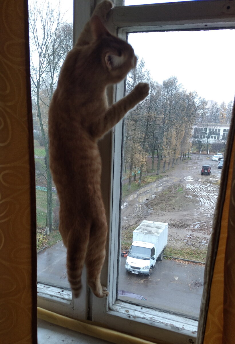 Личное  фото