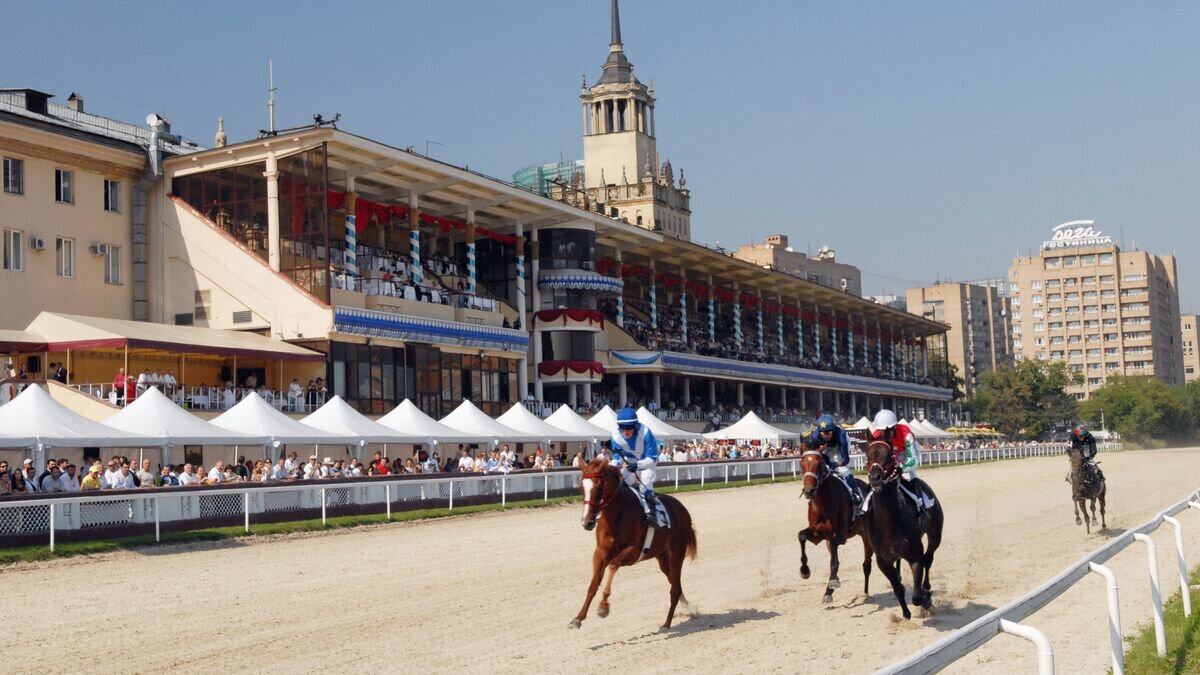    Скачки на центральном Московском ипподроме© РИА Новости / Владимир Вяткин