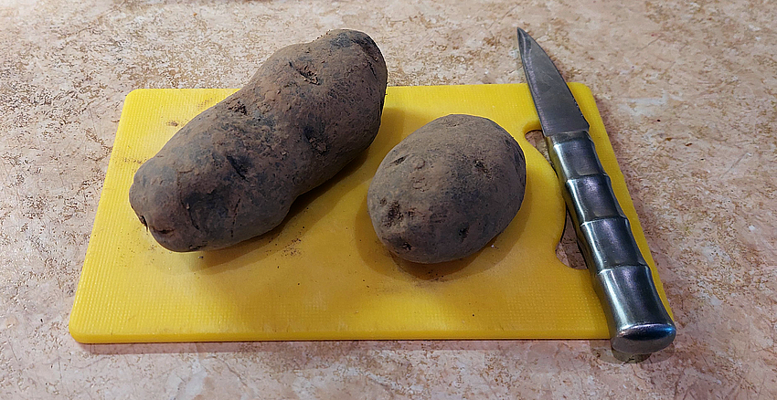 Картофель фиолетовый, не чищенный.