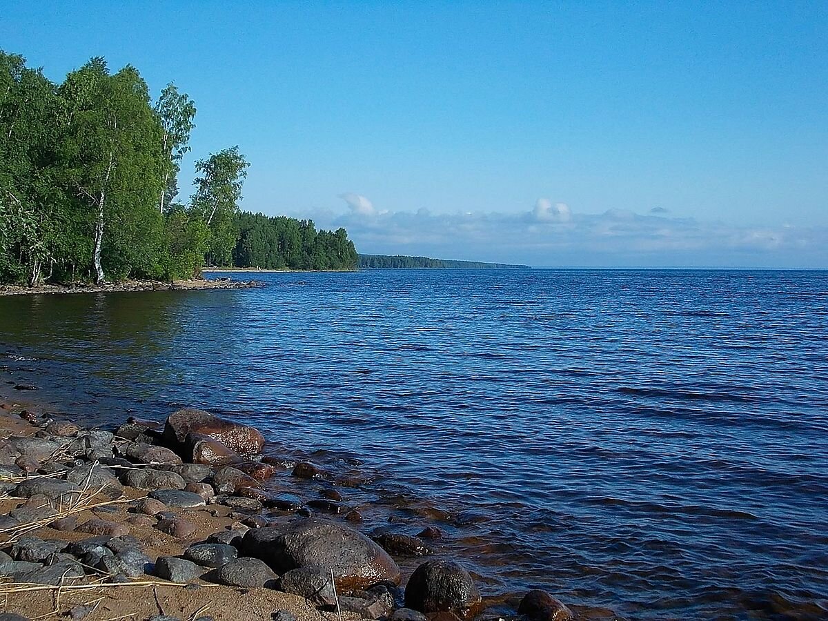 Природное сообщество — пресные водоёмы