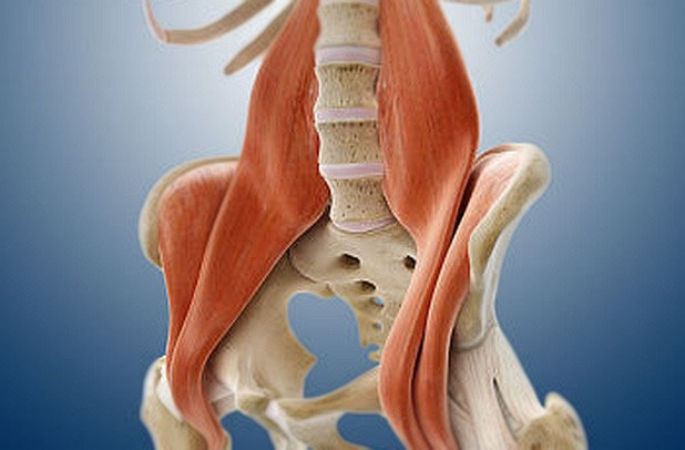Iliopsoas мышца