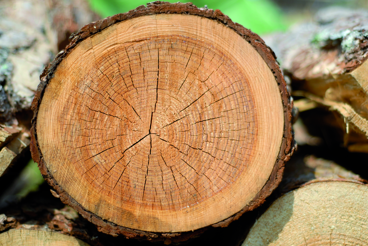 Виды натуральных восков для дерева