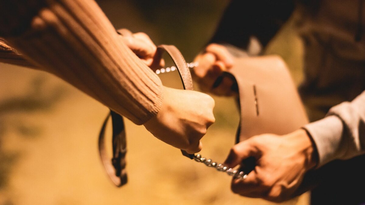     Молодой человек выхватил сумку из рук женщины и убежал.