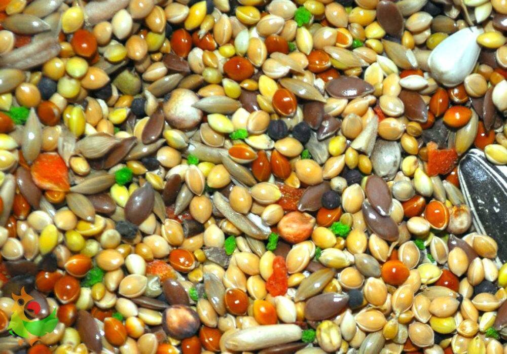 фото из интернета