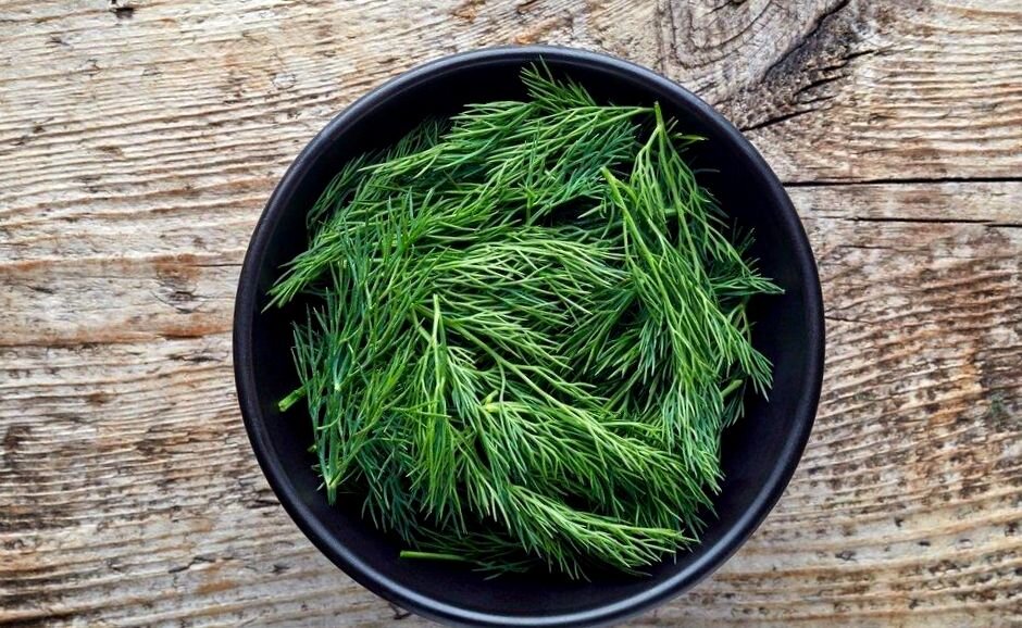 Зонтики укропа на зиму. Укроп 100 г. Укроп лекарственное растение. Букет из укропа и чеснока. Пучок укропа.