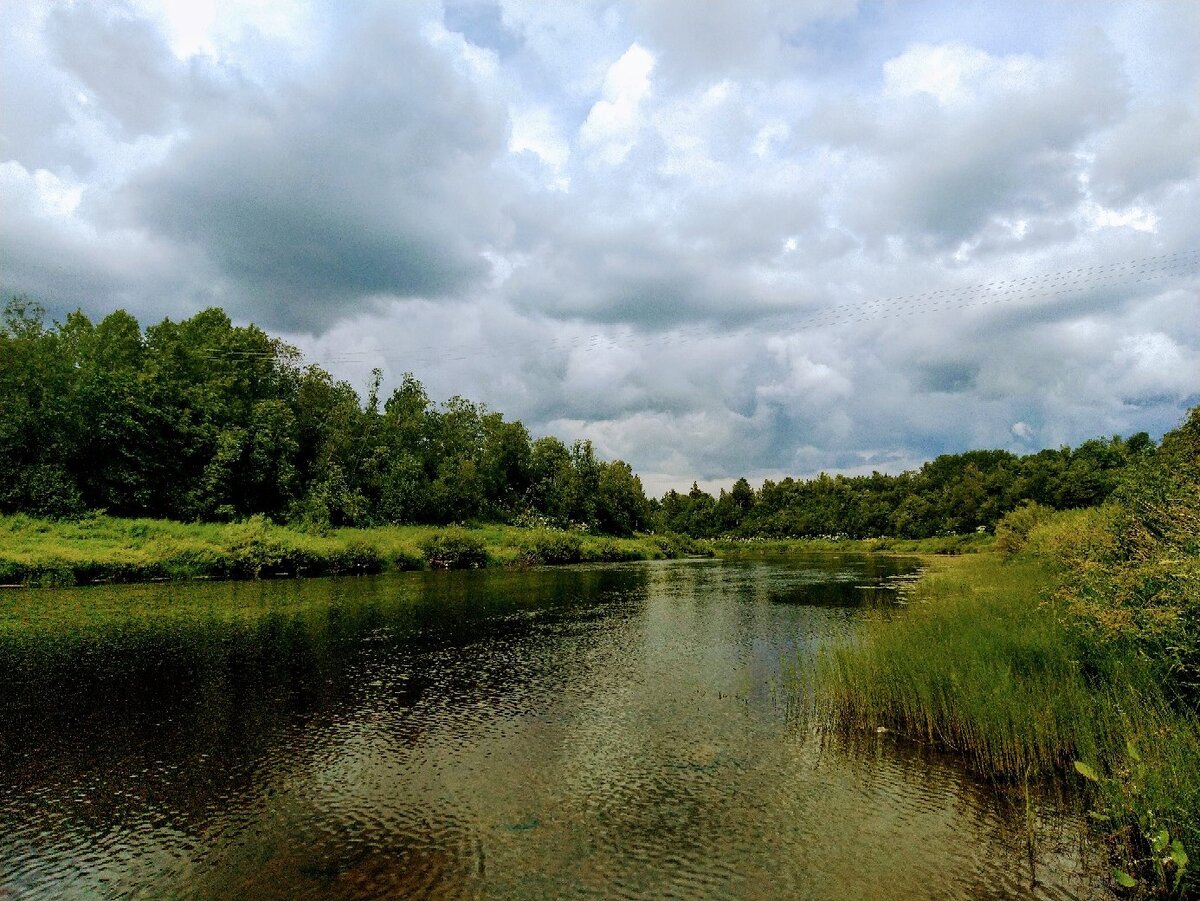 Река Сясь, Хвалово