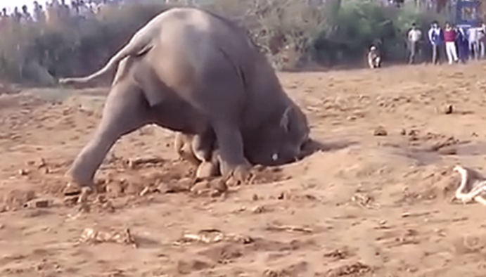 Не смогла остаться равнодушной к этой истории и, хочу поделиться ей с вами.-8