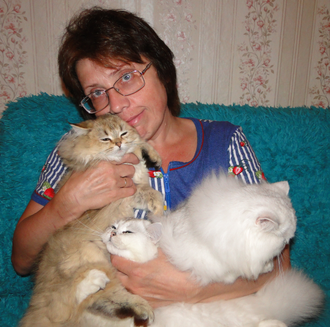 Я и мои любимые котики