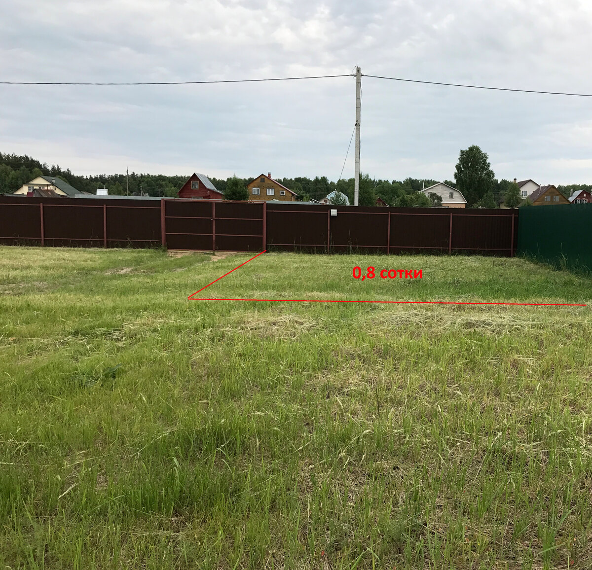 вот будущий участок (0,8 сотки) под картошку, заросший  пыреем ползучим