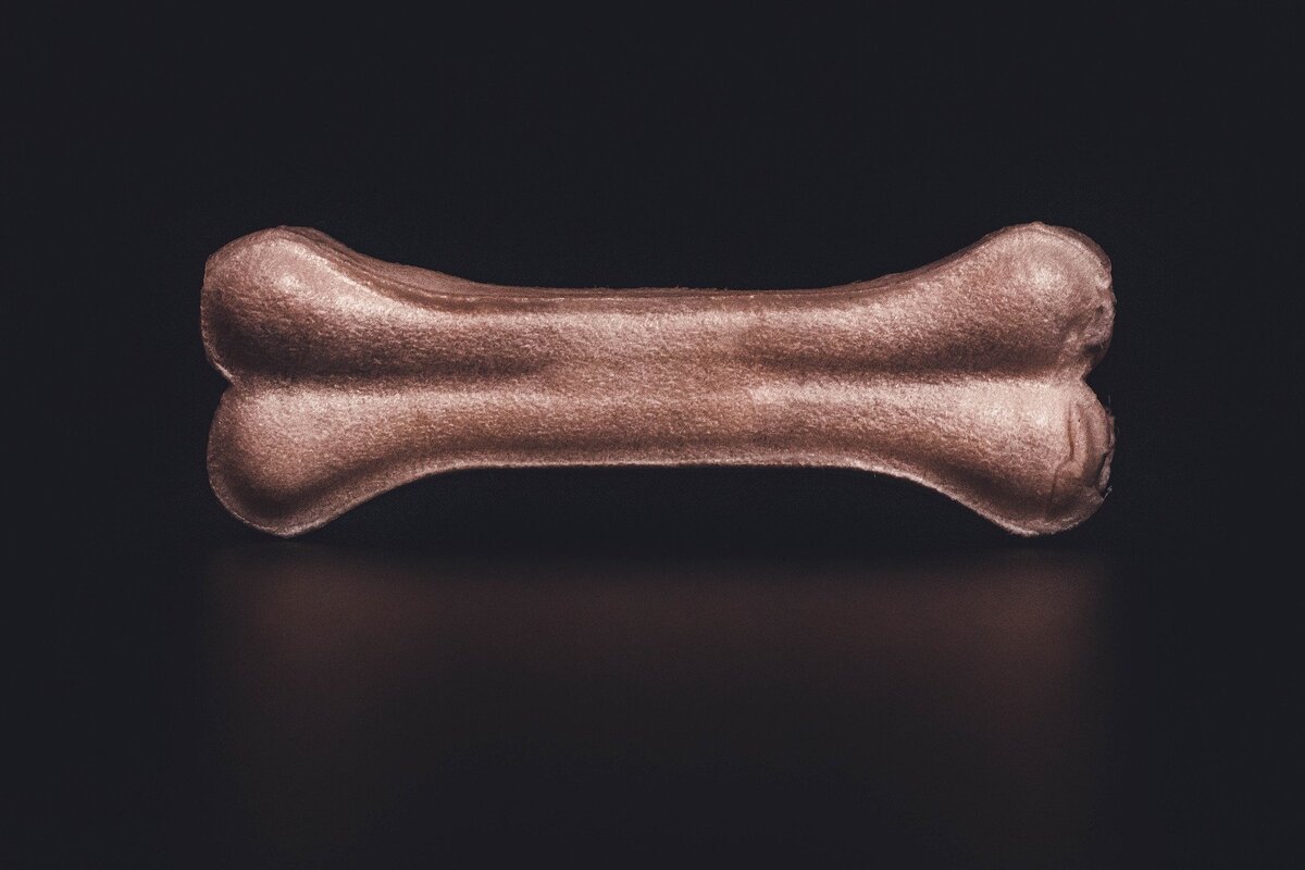 Лакомство для собаки, кость для собак