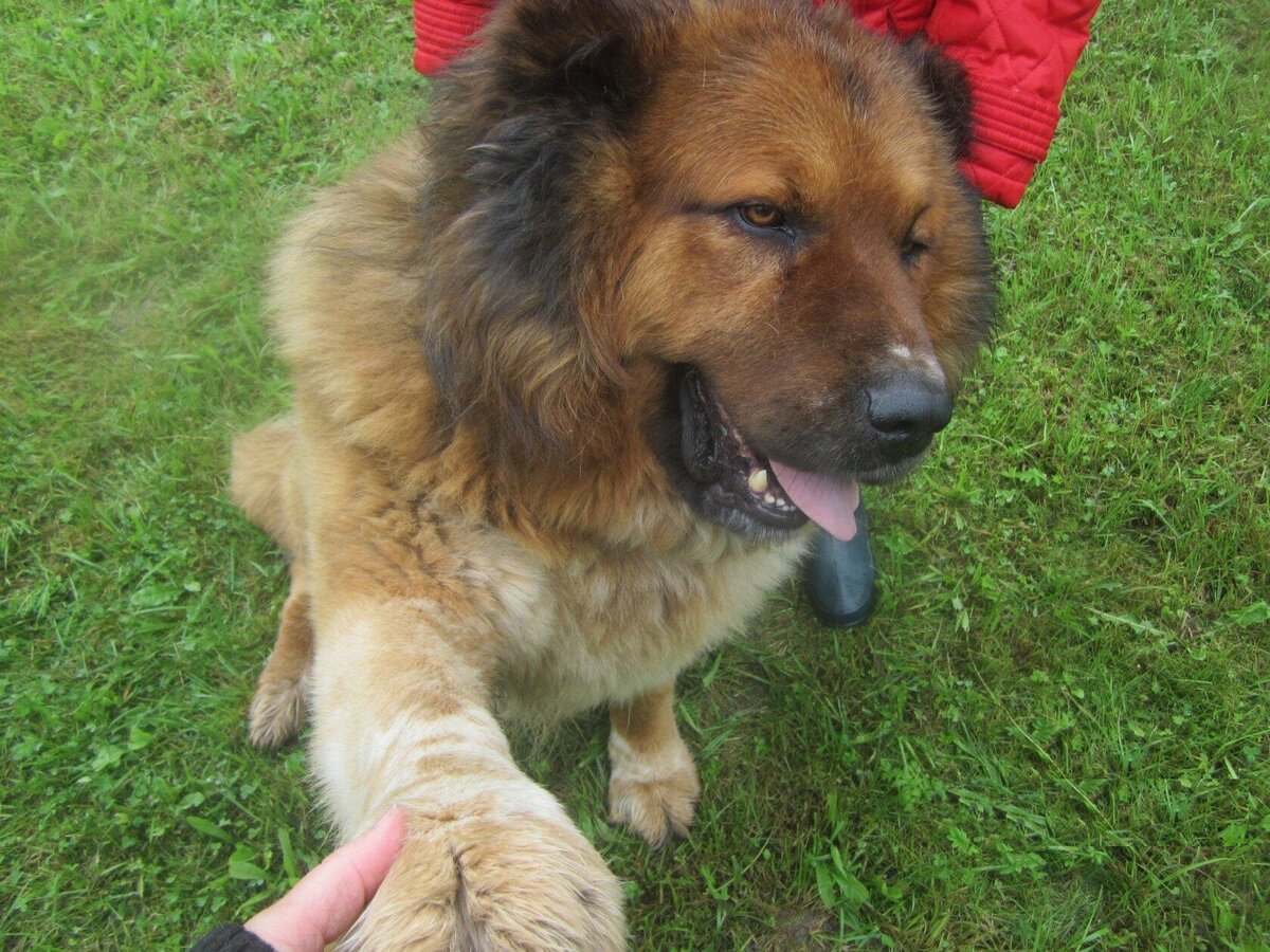 Зиданчику уже 10,5 лет и он всем передаёт привет!