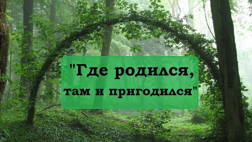 Минус песни где родился там и пригодился. Там где родился там и пригодился. Выставка где родился там и пригодился. Надпись где родился там и пригодился. Где родился там и пригодился Верхопижемье.