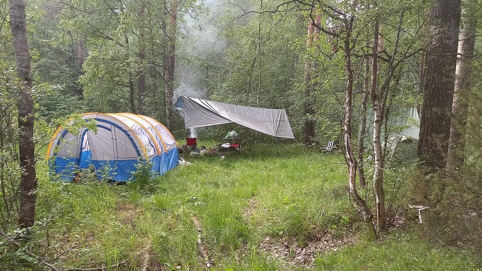   Палатки на поляне леса. Фото автора.