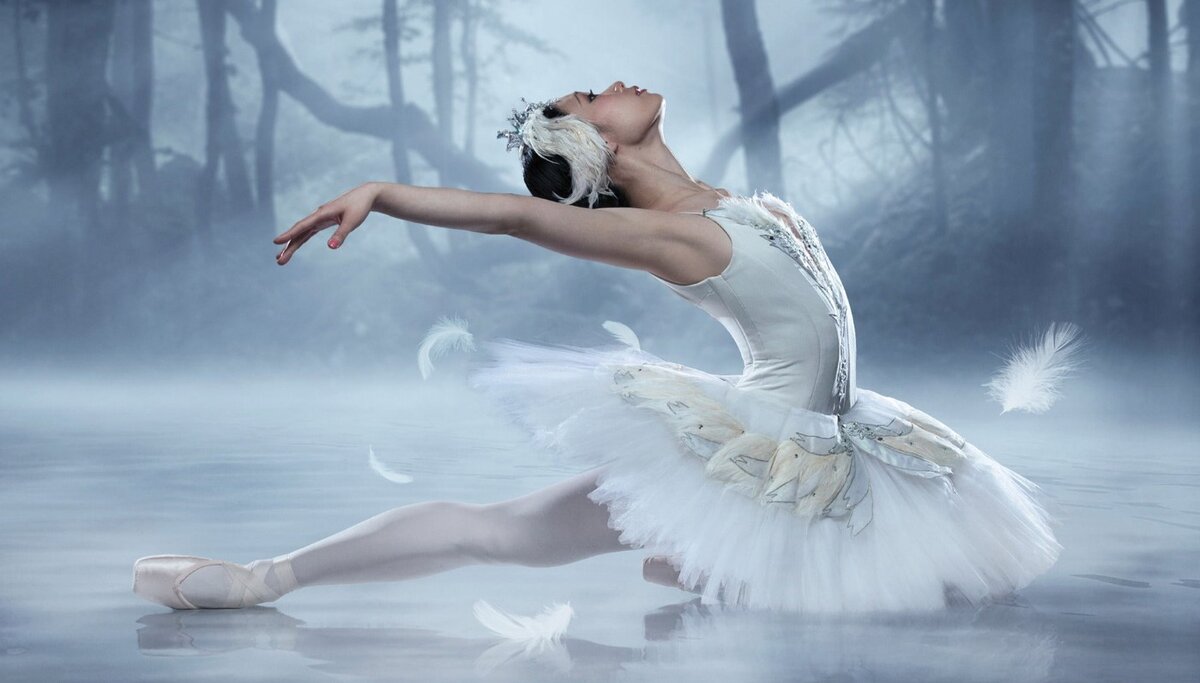 тест по классической музыке, авторы опер, кто написал лебединое озеро