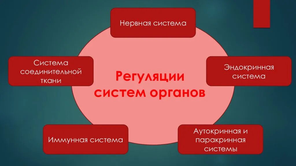 Состав страховочной системы. Пользовательская подсистема. Схема архитектуры подсистемы оперативного управления производством. Удерживающая система при работе на высоте. В соединительную подсистему входят.