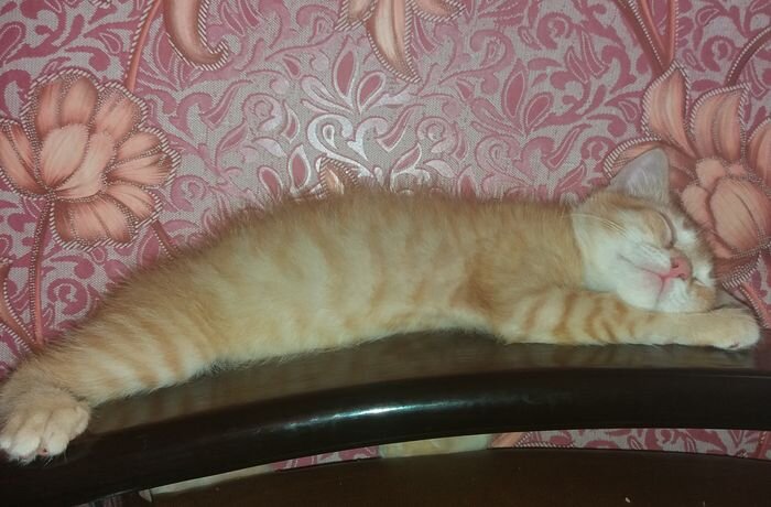 Из личного архива автора канала