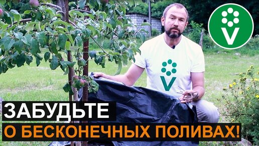 КАК Спасти Урожай ОТ Засухи? Гениально простой способ!