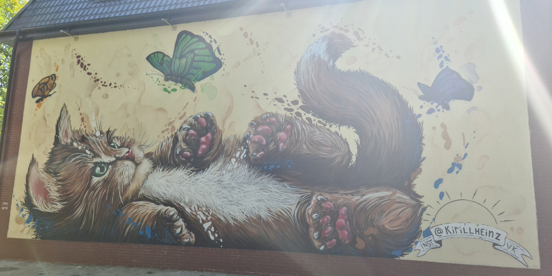 Зеленоградск и море