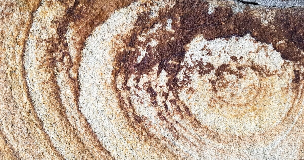 Фото: ru.freepik.com