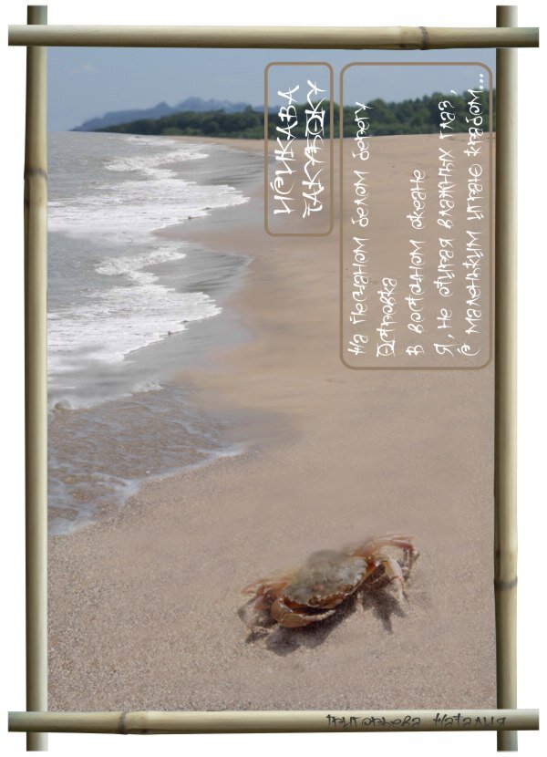 фото и обработка автора