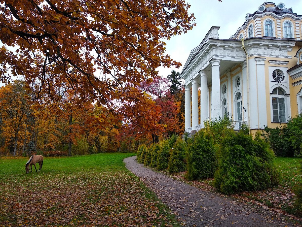 старинные усадьбы и парки