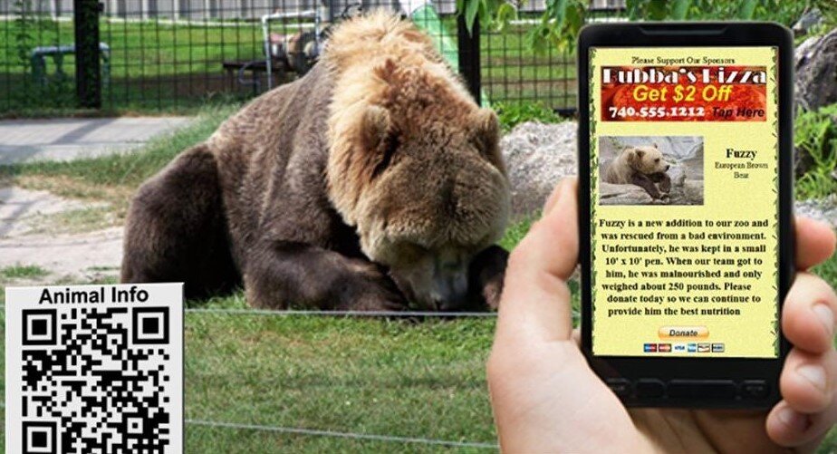 Медведь теперь зашифрован (Яндекс картинки)