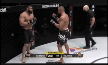 В последнем бою Амир Алиакбари без шансов проиграл нокаутом россиянину Анатолию Малыхину