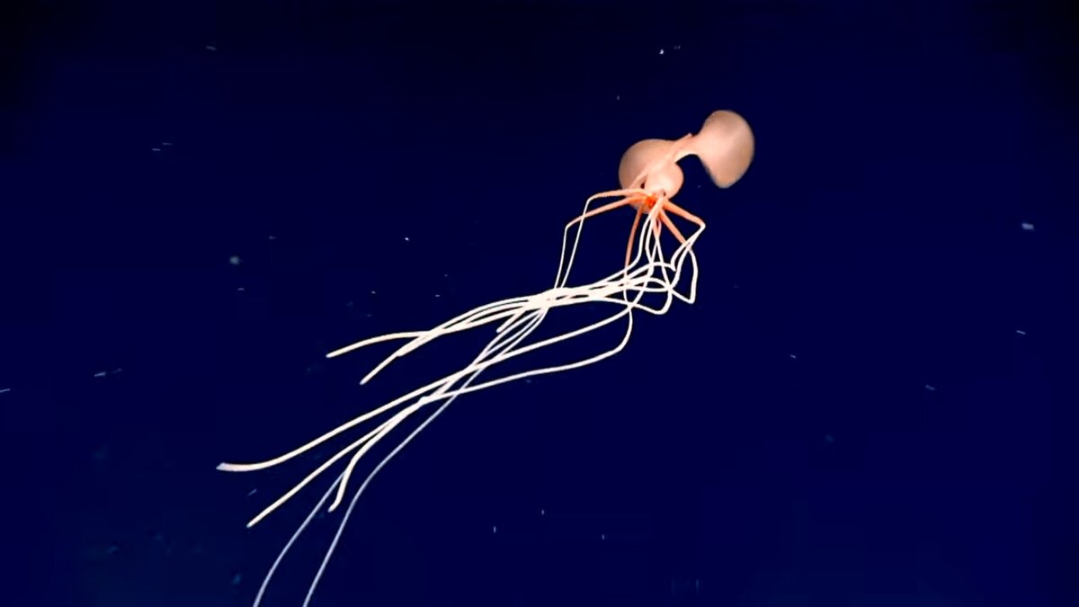 Источник: NOOA 