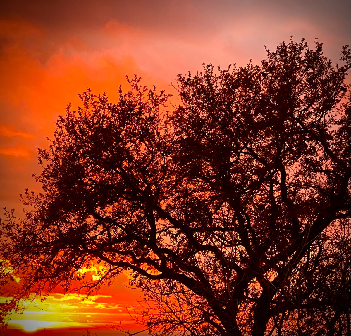 ОН НЕ СДАЁТСЯ - Рустэм Султанов