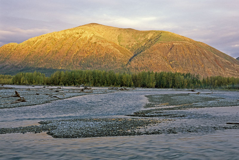 В протоках Юдомы