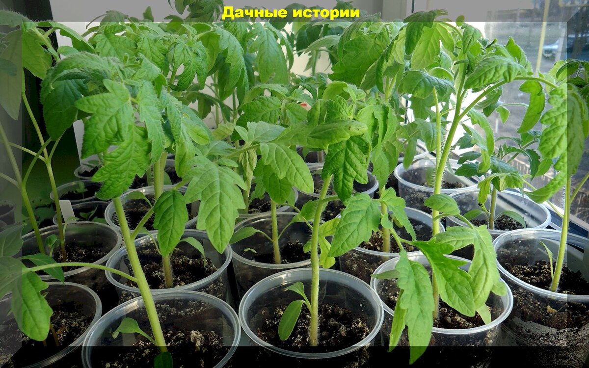 https://vk.com/photo-159774511_457251806