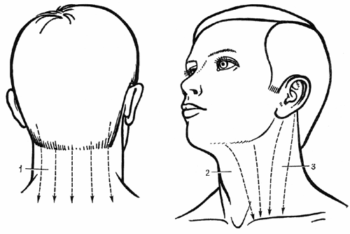 Рис.2 Зоны шеи и направление линий воздействия (по Г. Лувсан, 1990).