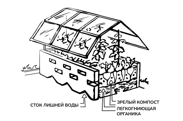 Примерная схема овощного контейнера