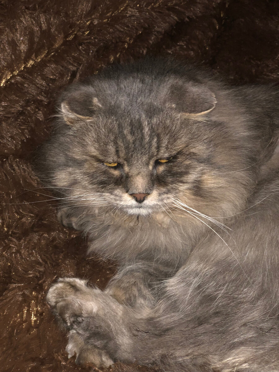 Чего надо? Занят я!