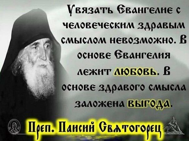 фото из открытого источника Яндекс. Картинки. 