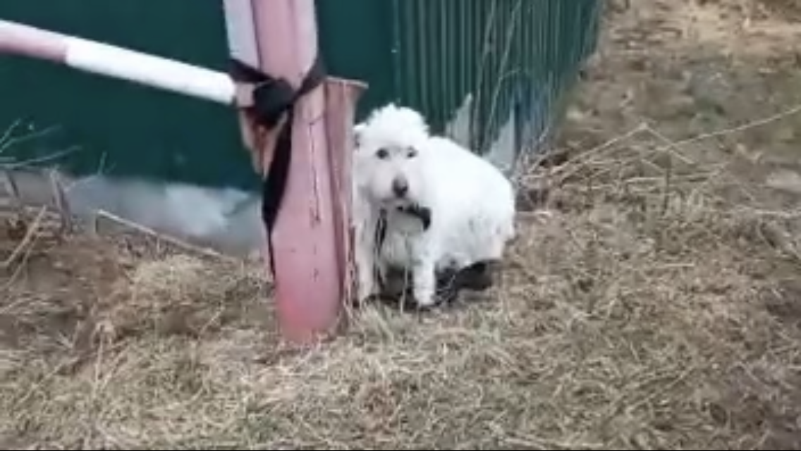 -2-2