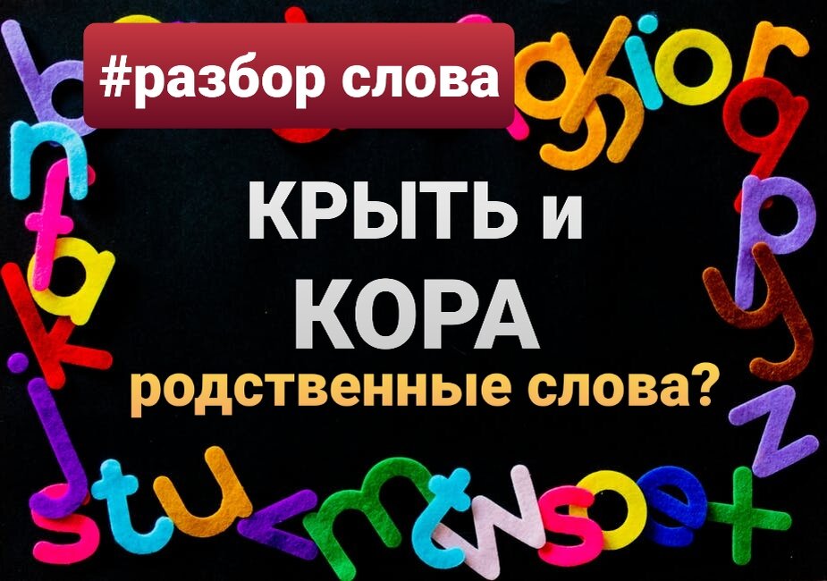 Основа фото pexels.com 