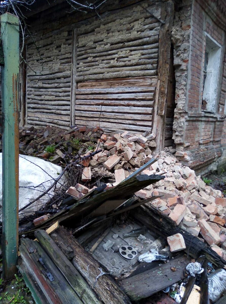 Фото: Елена Васильева, vk.com/wall639631882_324966