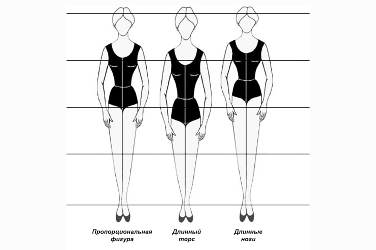 Пропорции женской фигуры. Пропорциональное Телосложение. Пропорции туловища и ног. Вертикальные пропорции фигуры. Размеры идеальной фигуры