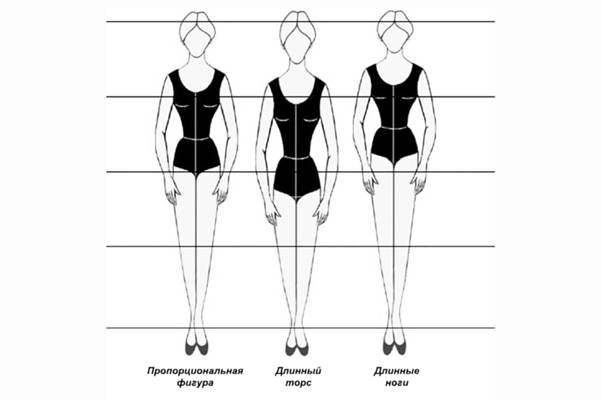 Пропорции женской фигуры. Пропорциональное Телосложение. Пропорции туловища и ног. Вертикальные пропорции фигуры. Ноги и тело у него были безупречные
