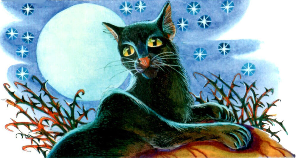 Из русскоязычного издания «Память племён»