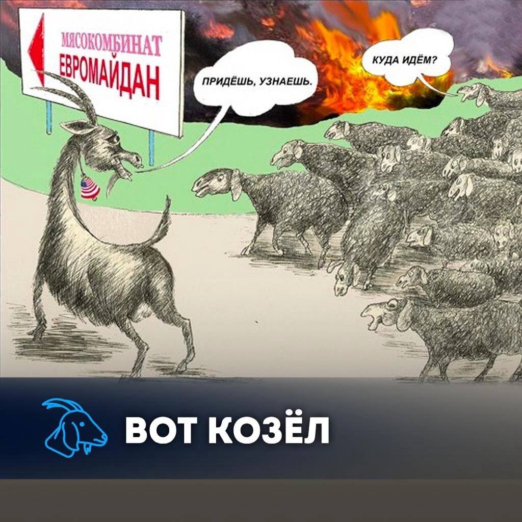 этот козел на диване