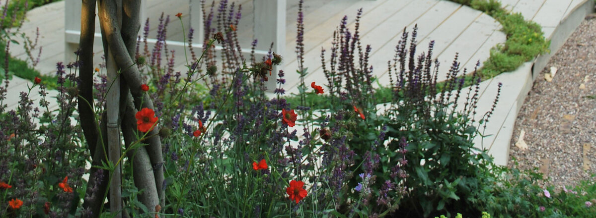 Фрагмент выставочного сада фестиваля Сады и Люди. Автор Оксана Ангелевская.©