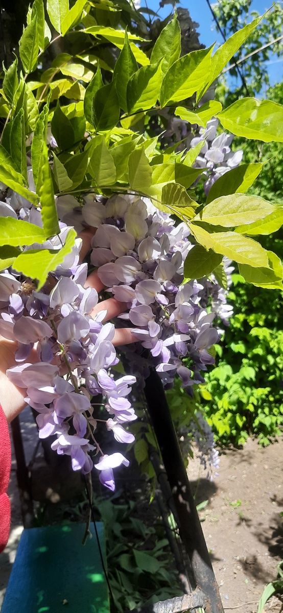 Крупные 
