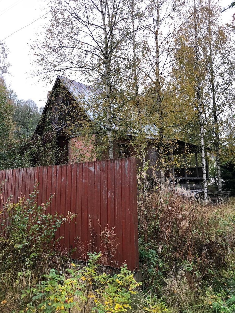 Выглядело это "великолепие" вот так. Участок зарос бурьяном, деревянная обшивка на доме потемнела и частично отвалилась, листовое железо на крыше покрыто ржавчиной. Фото было размещено продавцом на сайте Домофонд.ру в общем доступе.