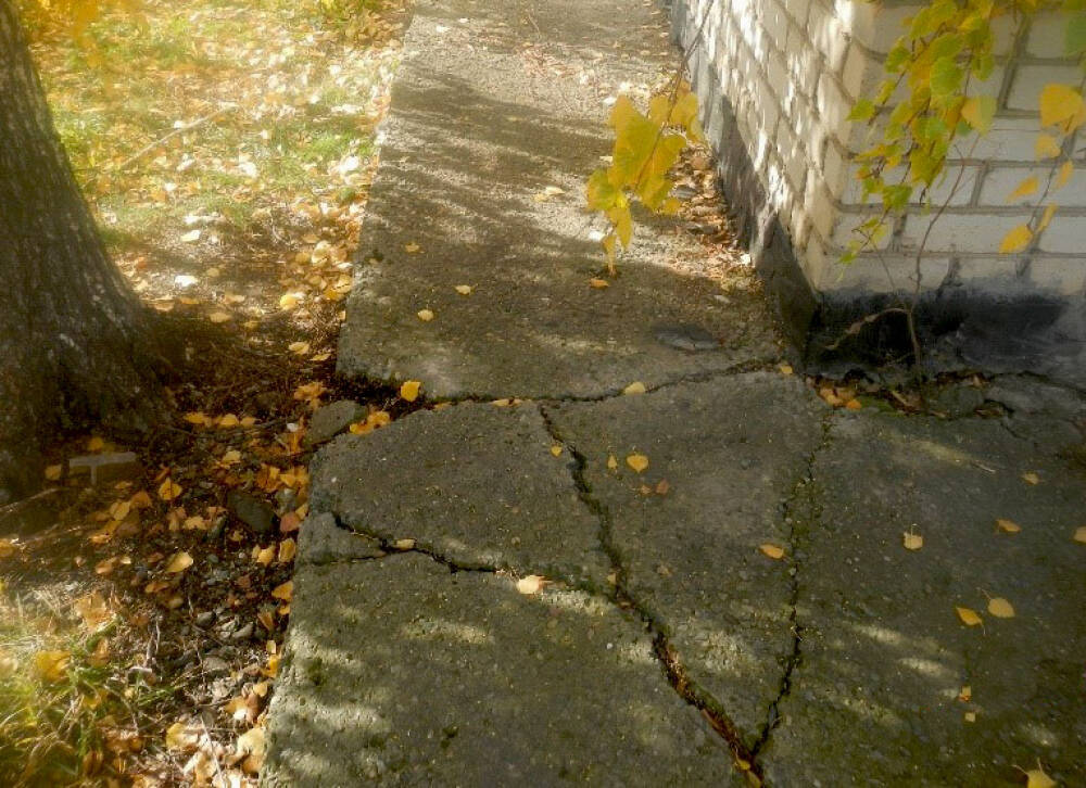 Отмостка вокруг дома: всегда ли она нужна, какую выбрать и как ...