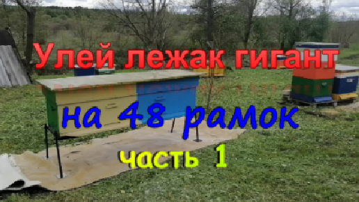 Улей - лежак, что в нем хорошего? | Пасека для души | Дзен