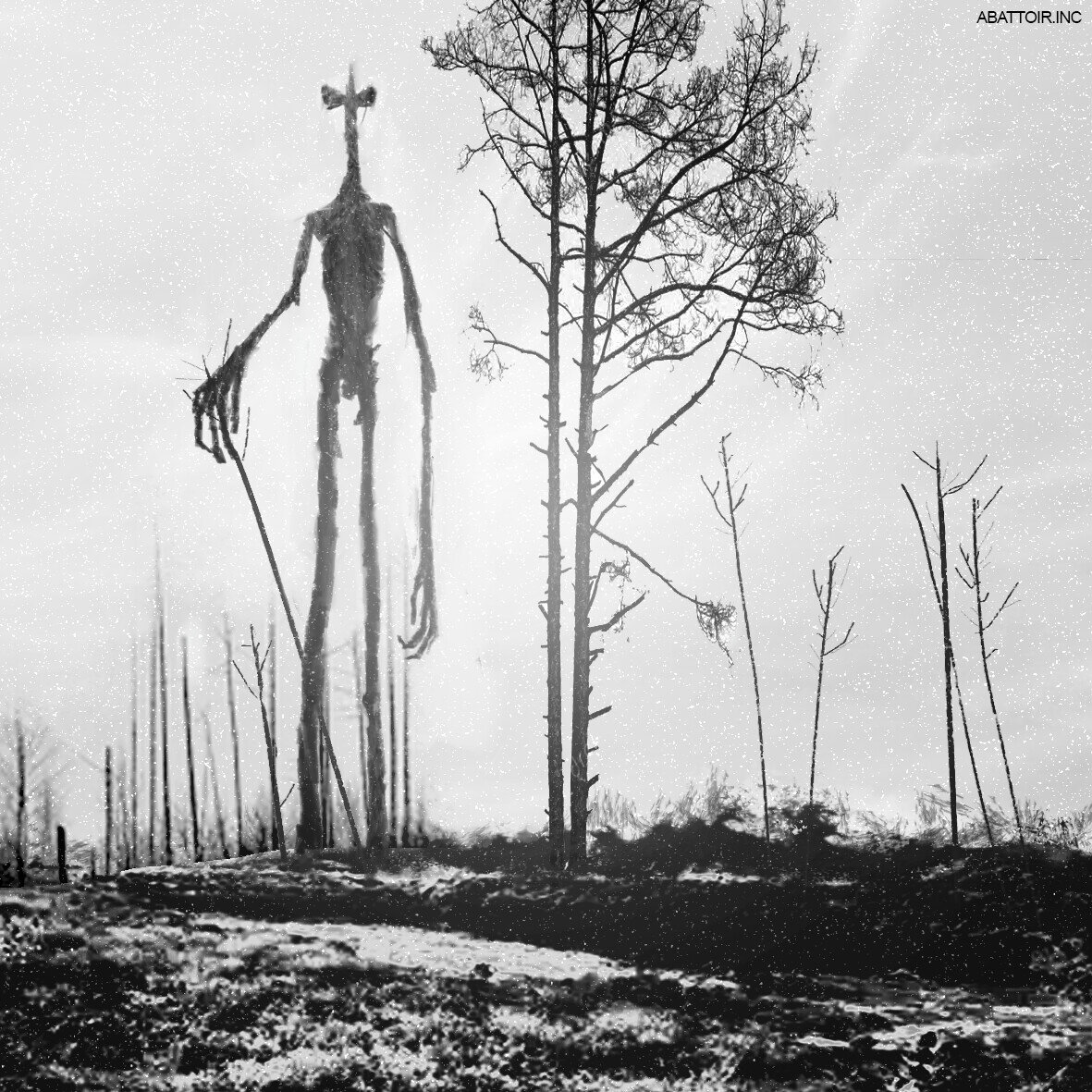 Та самая фотография