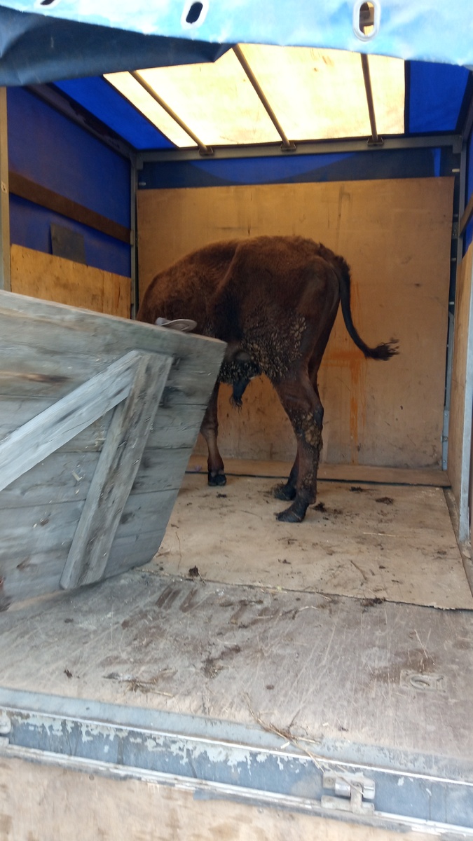 В машине кажется таким маленьким..