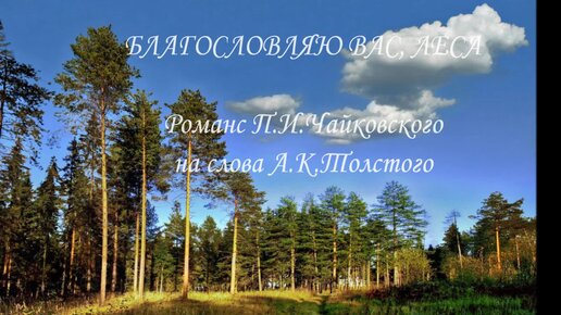 Благословляю вас леса п чайковского
